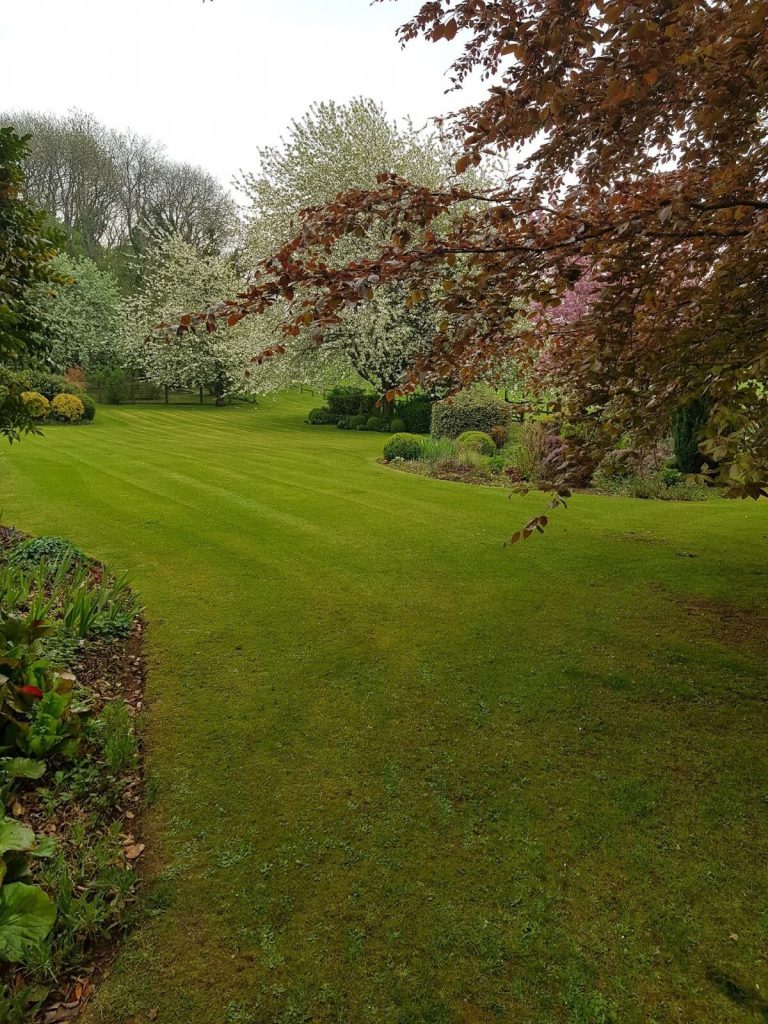 Cutting Lawn - Grounds Maintenance