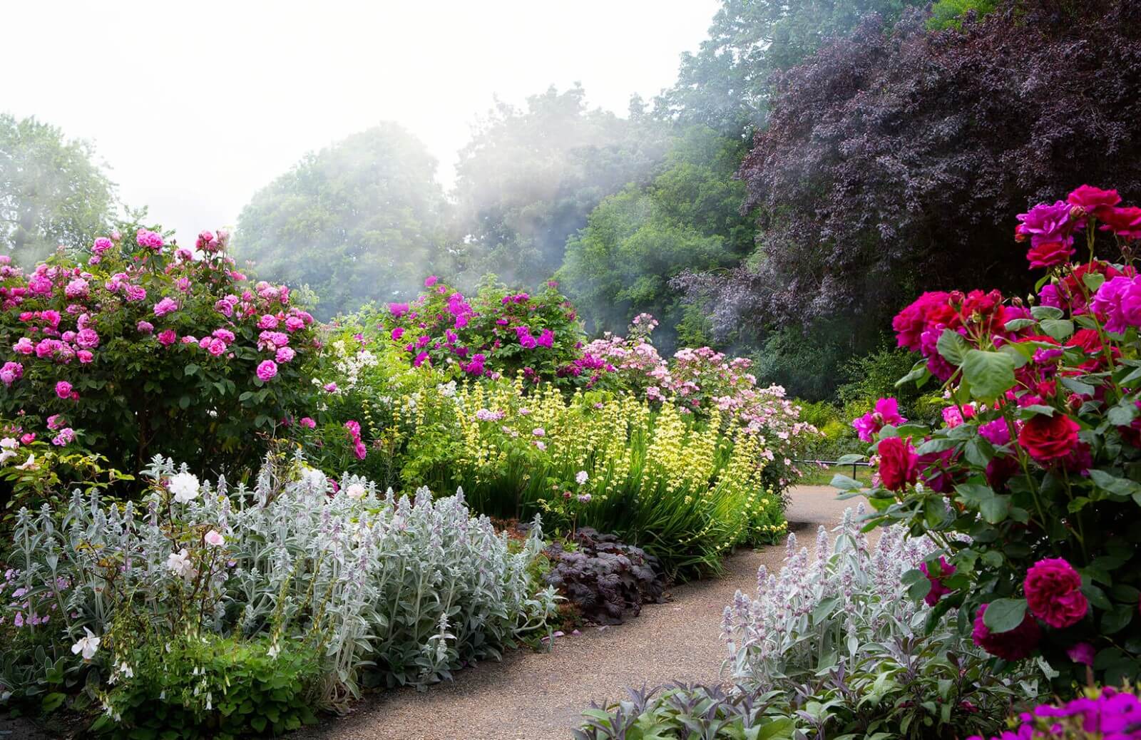 Garden Path Landscape