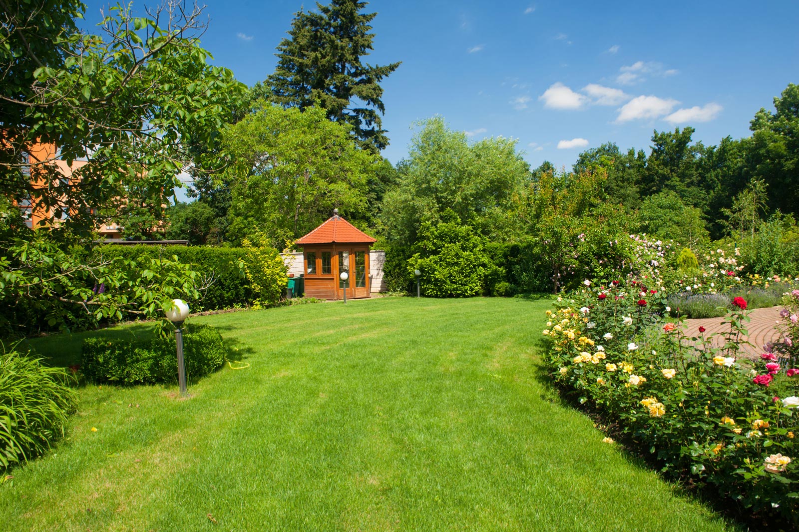 Garden with Shed