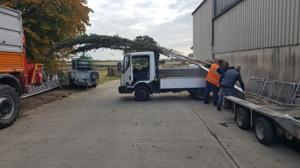 Tree Planting Transport